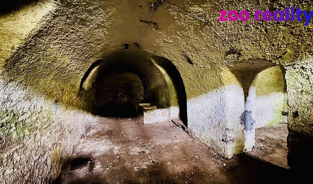 Prodej domu 360 m² s pozemkem 584 m², Rožmitál na Šumavě – náhled fotky 21