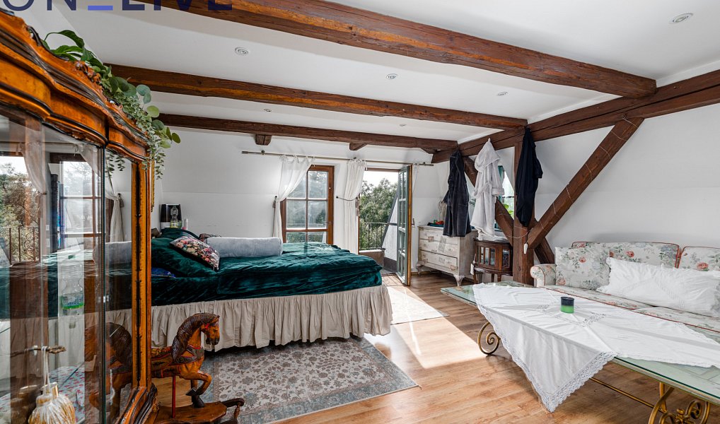 Prodej domu 650 m² s pozemkem 3 730 m², Rozvadov – náhled fotky 3