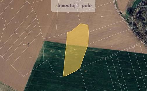 Prodej pole 2 724 m², Nový Vestec, okres Praha-východ