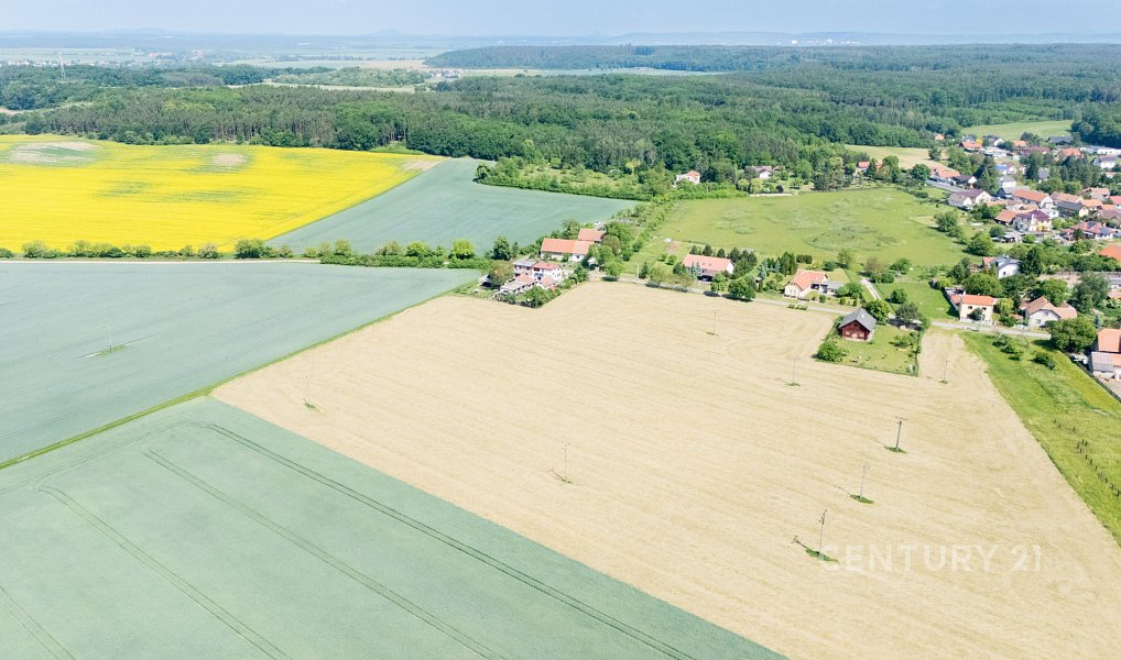 Prodej stavebního pozemku 5 553 m², Jizbice – náhled fotky 7