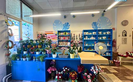 Pronájem obchodních prostor 50 m², tř. Dr. E. Beneše, Bohumín - Nový Bohumín, okres Karviná