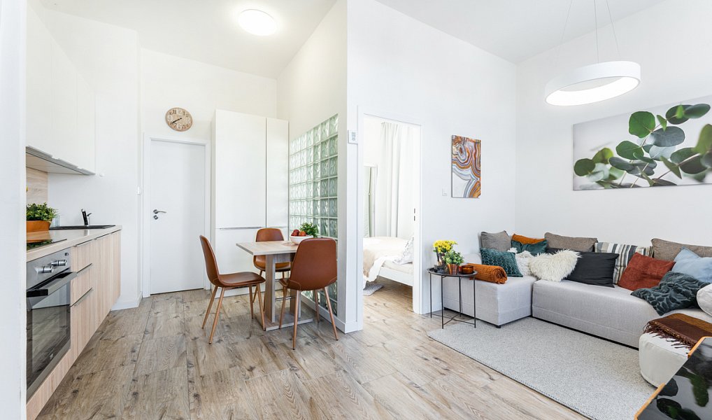 Pronájem bytu 2+kk 35 m², Albrechtice nad Orlicí – náhled fotky 2