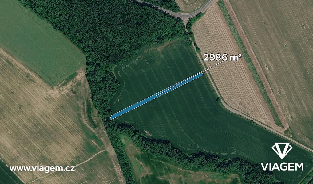Prodej pole 2 986 m², Loukov – náhled fotky 2