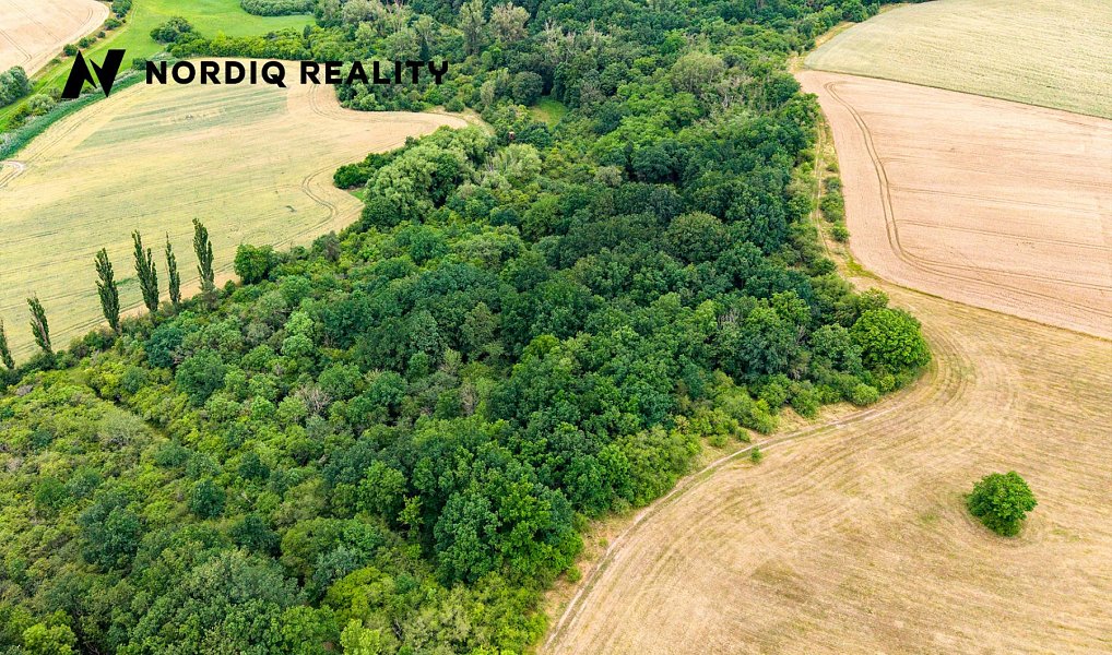 Prodej pole 2 841 m², Staňkovice – náhled fotky 11