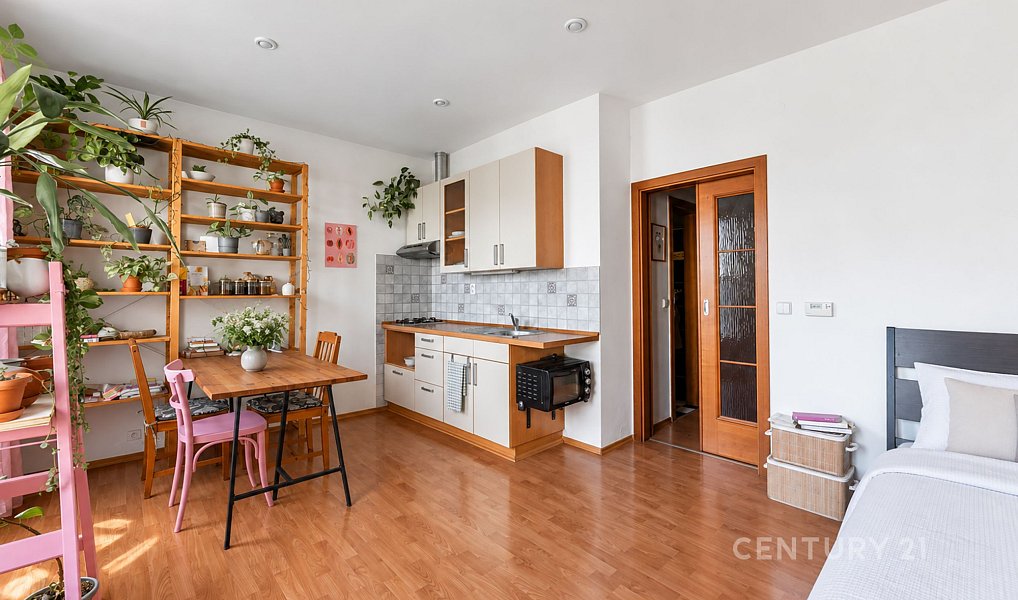 Prodej bytu 1+kk 31 m², Praha – náhled fotky 3