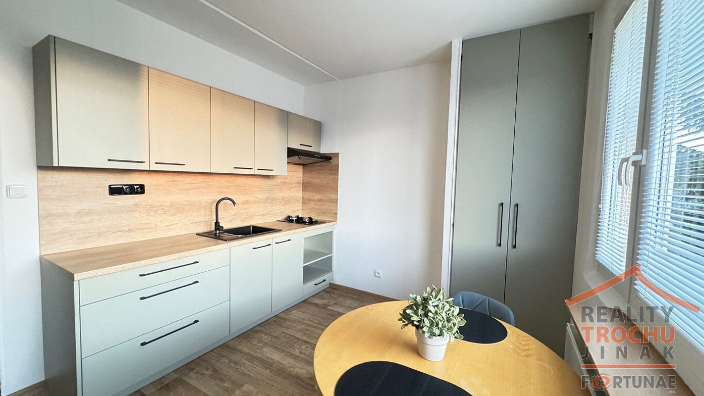 Pronájem bytu 1+1 36 m²