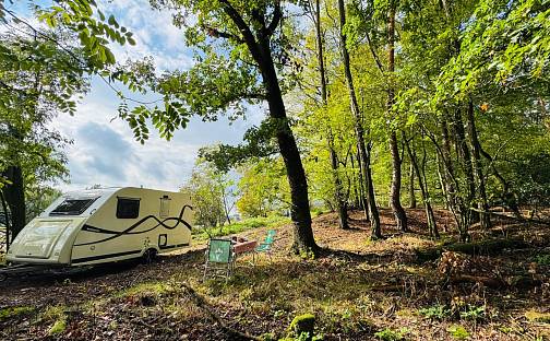 Prodej lesa 893 m², Postupice - Pozov, okres Benešov