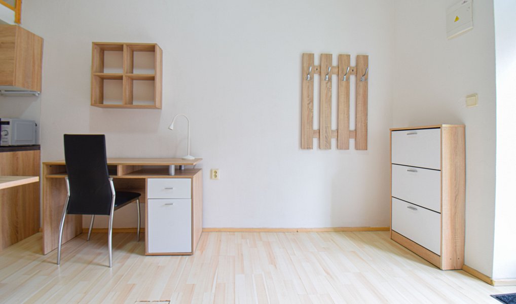 Pronájem bytu 1+kk 21 m², Brno – náhled fotky 8