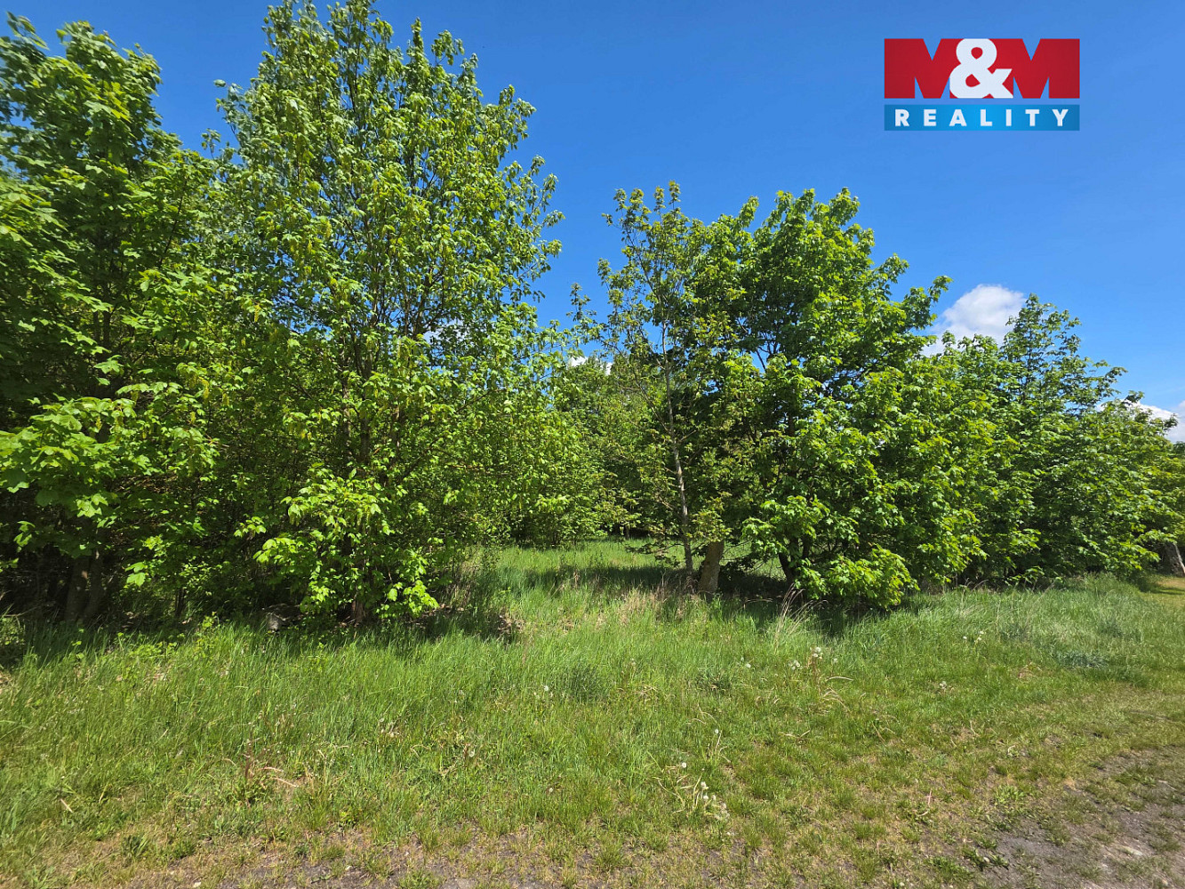 Prodej stavebního pozemku 2 517 m² — photo 2