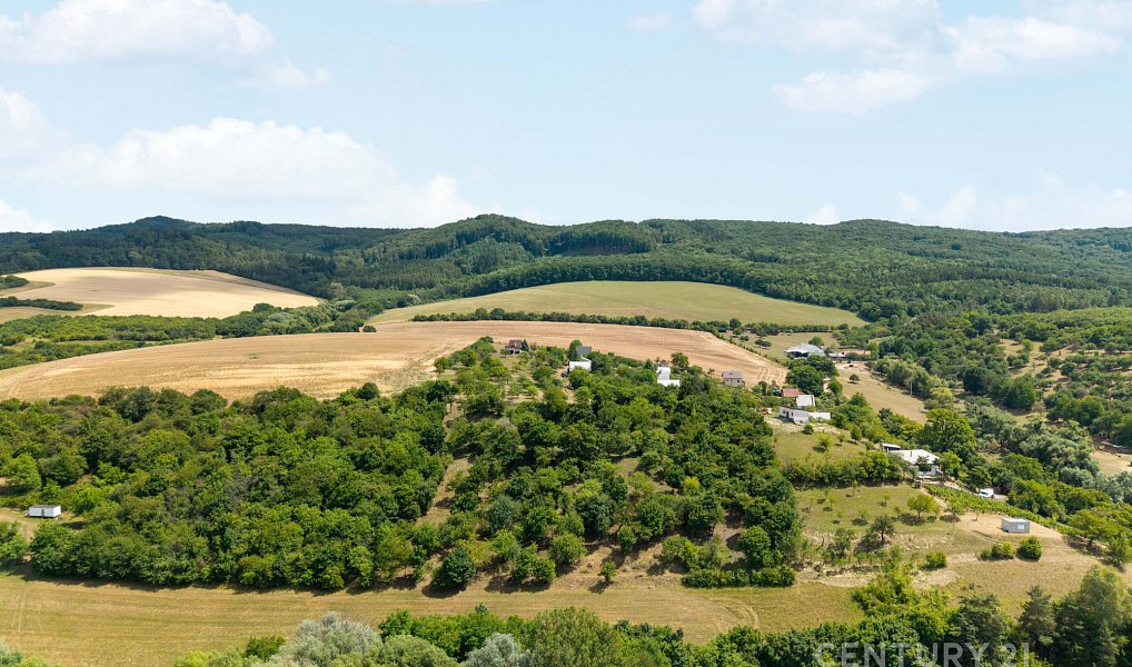 Prodej stavebního pozemku 7 076 m², Koryčany – náhled fotky 14