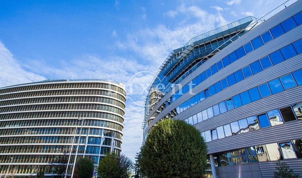 Pronájem kanceláře 303 m², Praha – náhled fotky 6
