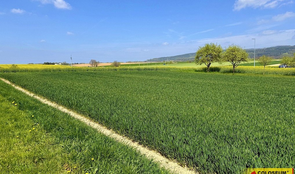 Prodej stavebního pozemku 3 940 m², Fryšták – náhled fotky 7