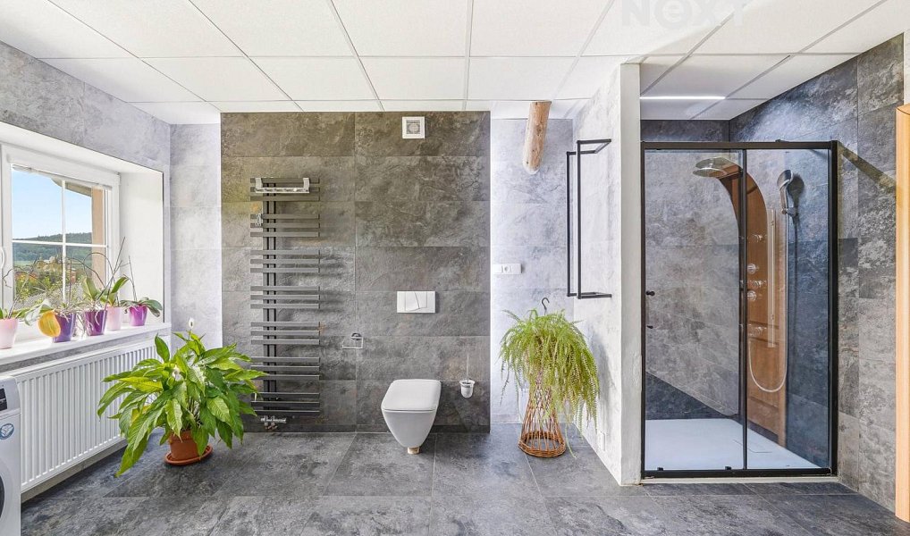 Prodej domu 470 m² s pozemkem 4 293 m², Velké Losiny – náhled fotky 16