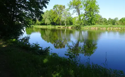 Pronájem pozemku 1 000 m², Valy, okres Pardubice