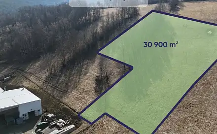 Prodej louky 30 800 m², Vimperk - Pravětín, okres Prachatice