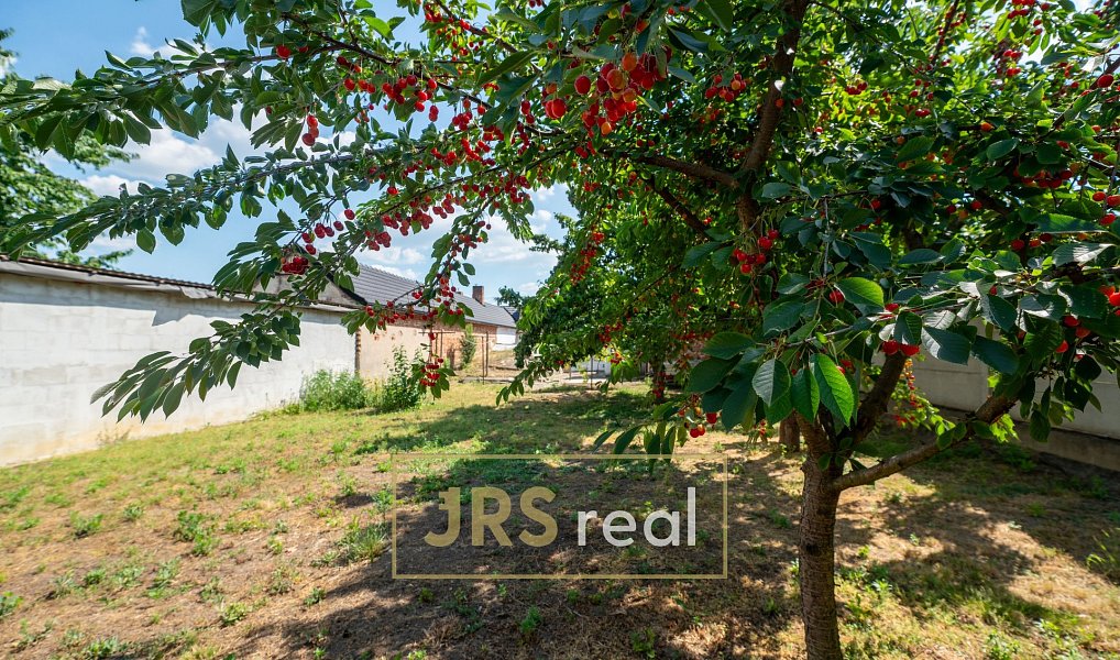 Prodej domu 120 m² s pozemkem 527 m², Moravská Nová Ves – náhled fotky 11