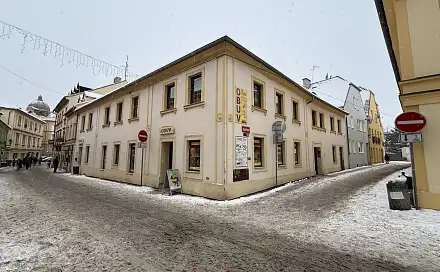 Prodej obchodních prostor 720 m², Klášterní, Litoměřice - Litoměřice-Město