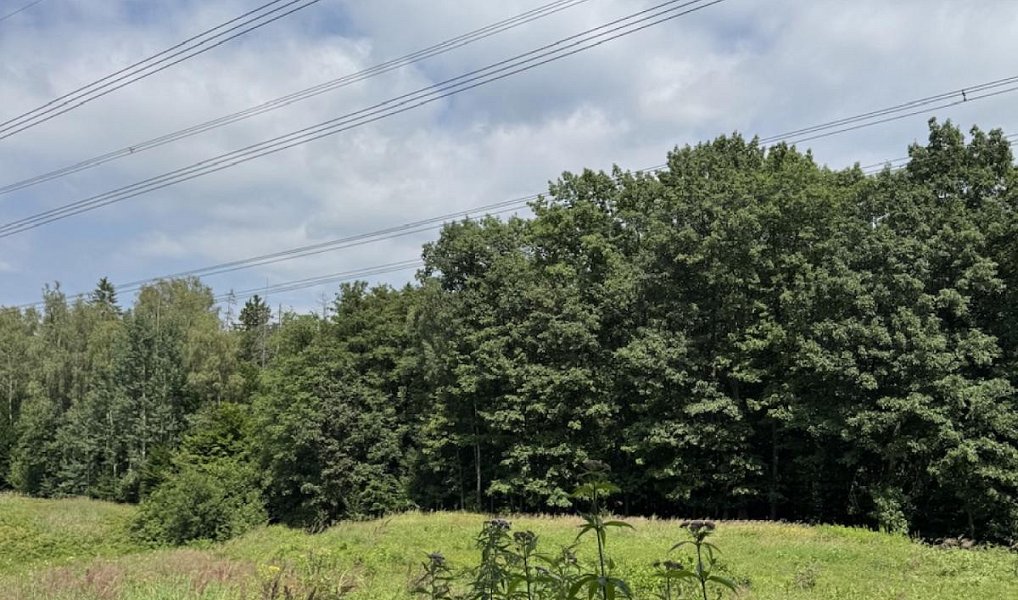 Prodej vodní plochy 12 501 m², Hodějice – náhled fotky 2