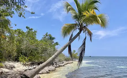 Prodej pozemku 161 996 m², Port Royal, José Santos Guardiola, Honduras