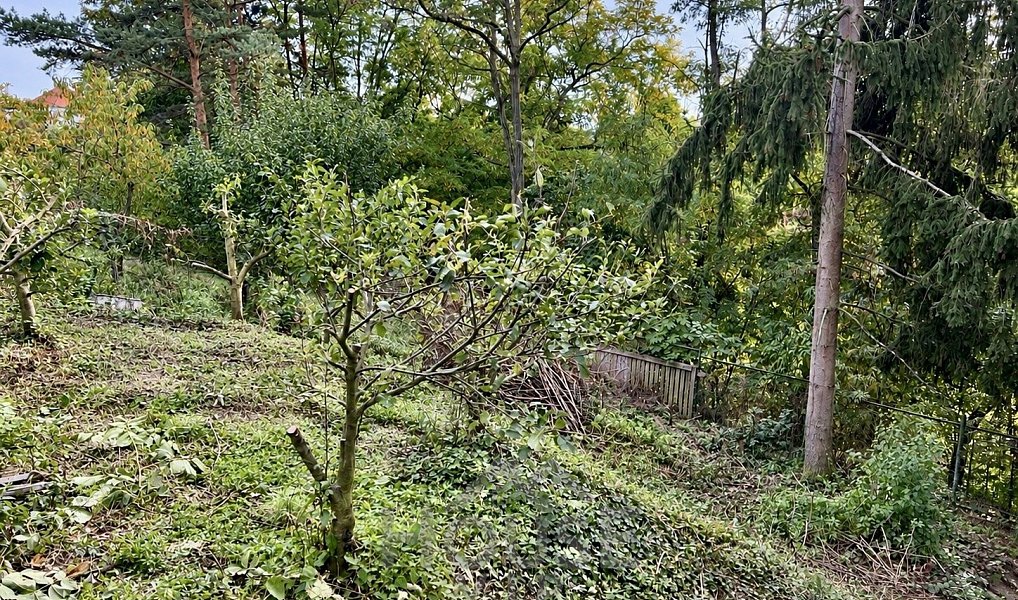 Prodej domu 135 m² s pozemkem 599 m², Praha – náhled fotky 30