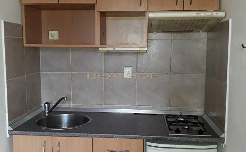 Pronájem bytu 1+kk 13 m², Seifertova, Brno - Lesná