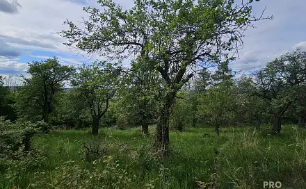 Prodej pozemku 4 253 m², Koryčany, okres Kroměříž