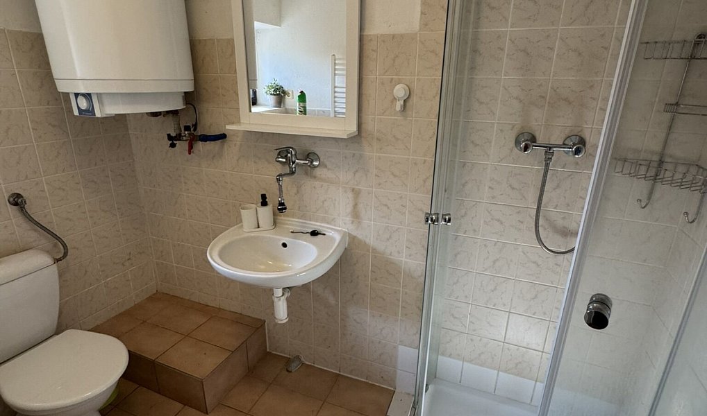 Prodej chaty/chalupy 120 m² s pozemkem 34 800 m², Zdíkov – náhled fotky 13