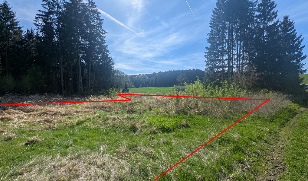 Prodej zahrady 1 579 m², Kdyně – náhled fotky 3
