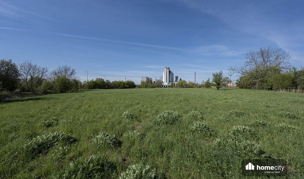 Prodej komerčního pozemku 9 749 m², Smiřice – náhled fotky 13