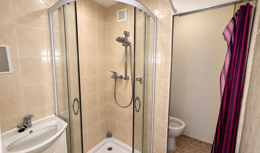 Prodej bytu 1+1 33 m², Brno – náhled fotky 11
