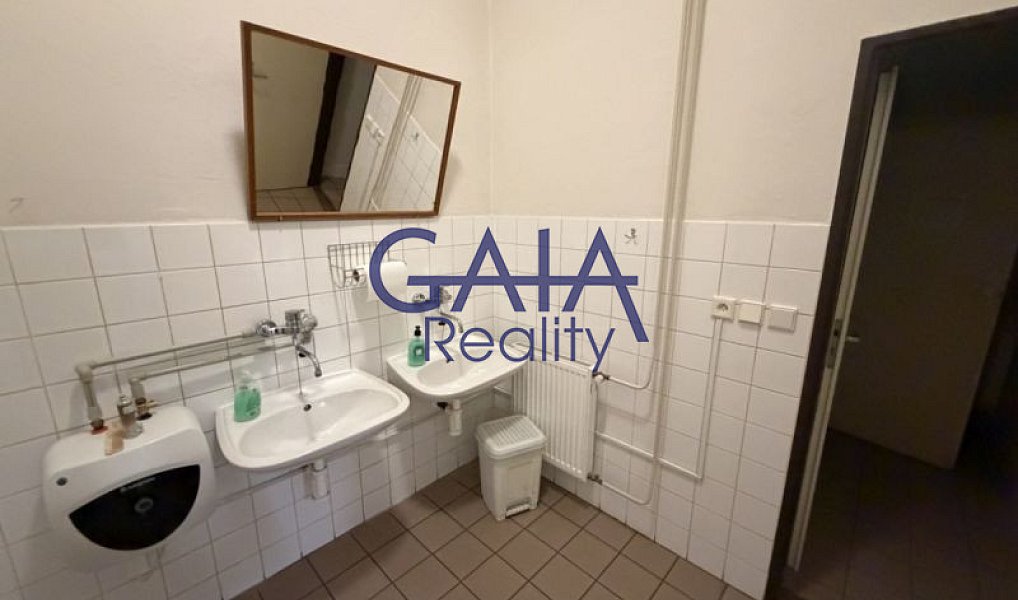 Prodej obchodních prostor 481 m², Jemnice – náhled fotky 12