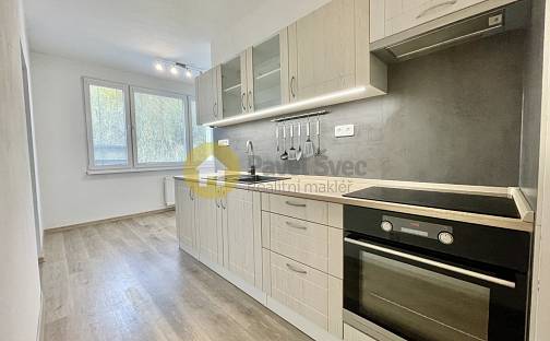 Pronájem bytu 2+1 61 m², Zvolenská, Strakonice - Strakonice I