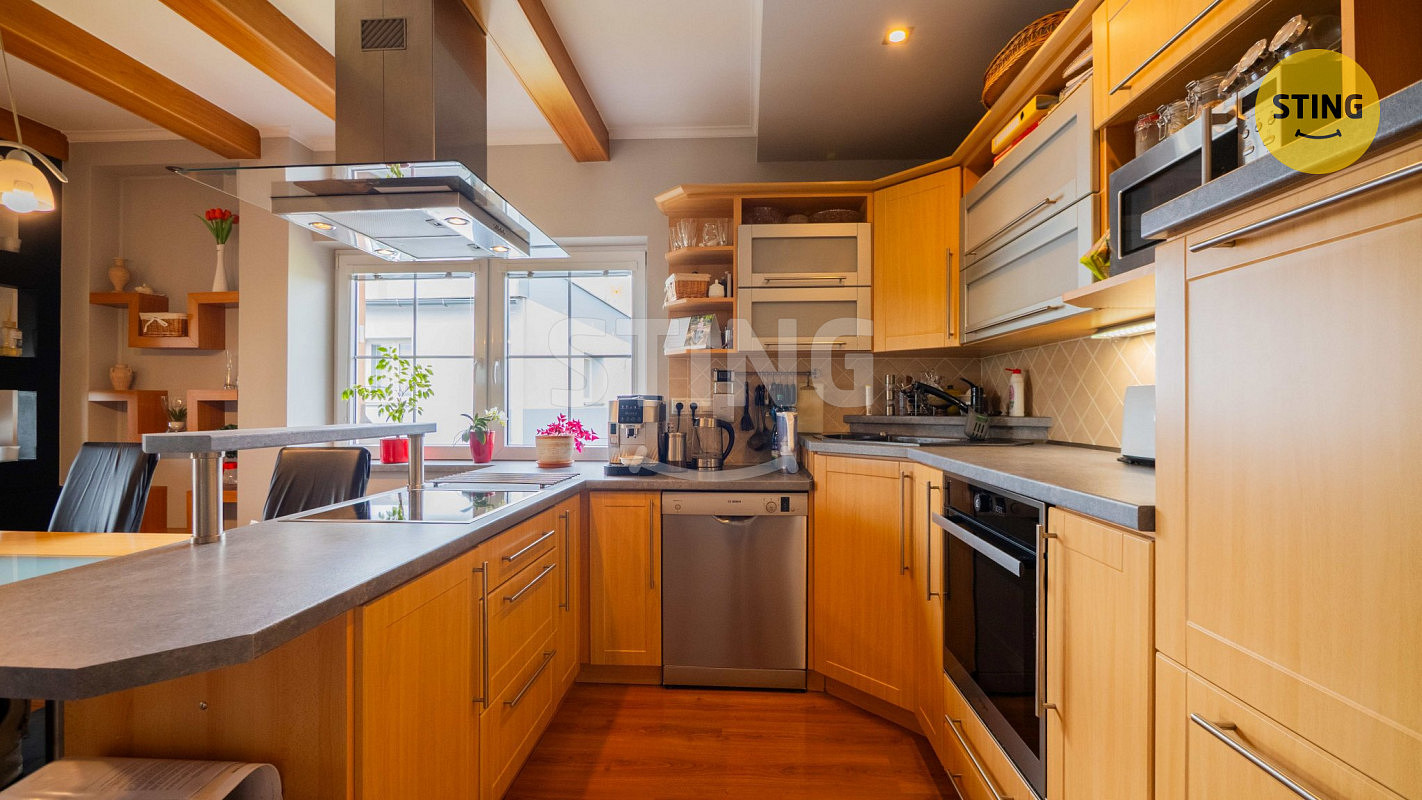 Prodej domu 380 m² s pozemkem 736 m² – fotografie 3