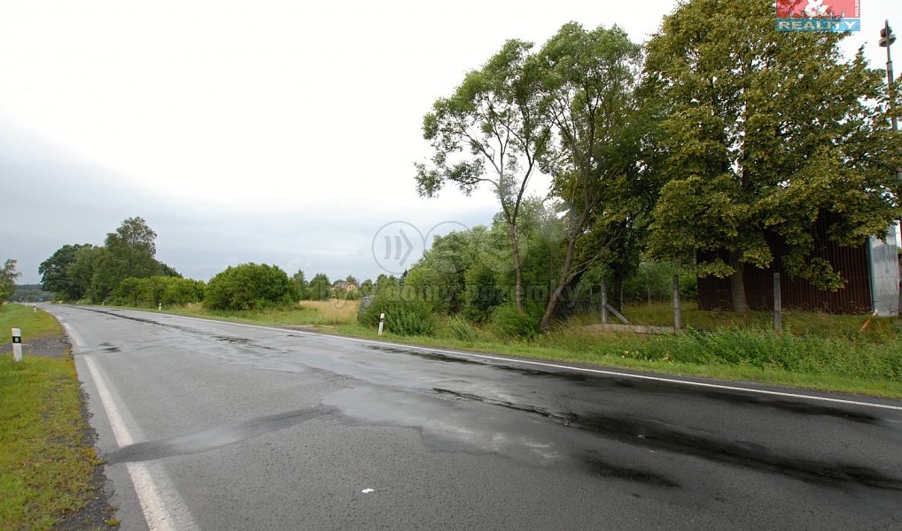 Prodej pozemku 12 000 m², Mariánské Lázně – náhled fotky 7