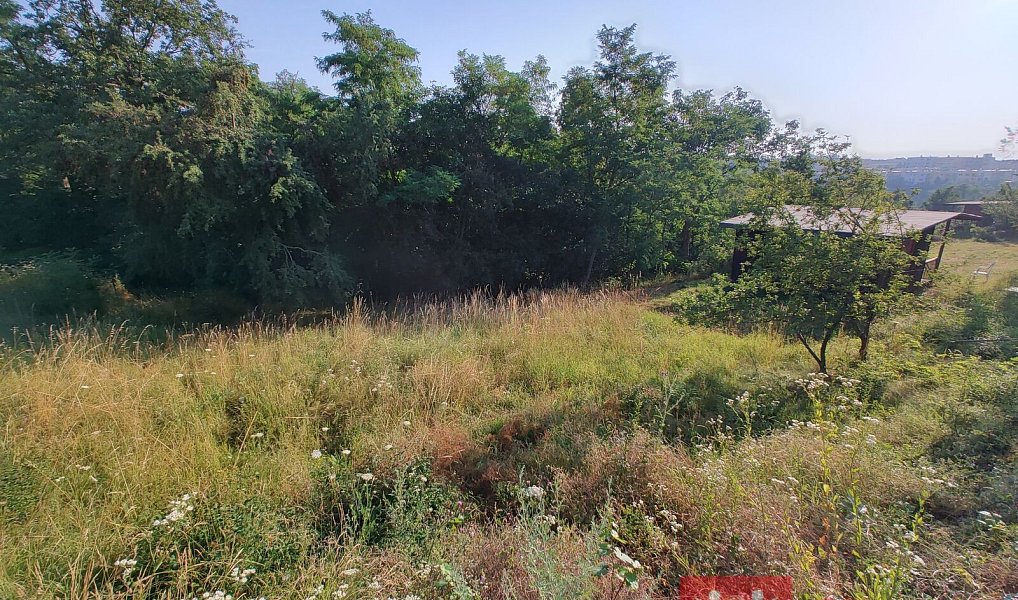 Prodej chaty/chalupy 16 m² s pozemkem 2 618 m², Nový Šaldorf-Sedlešovice – náhled fotky 17