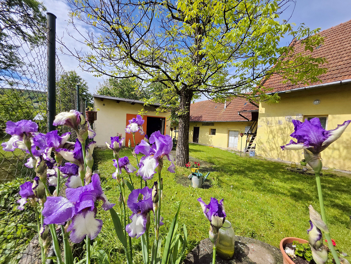 Prodej chaty/chalupy 700 m² s pozemkem 1 816 m²