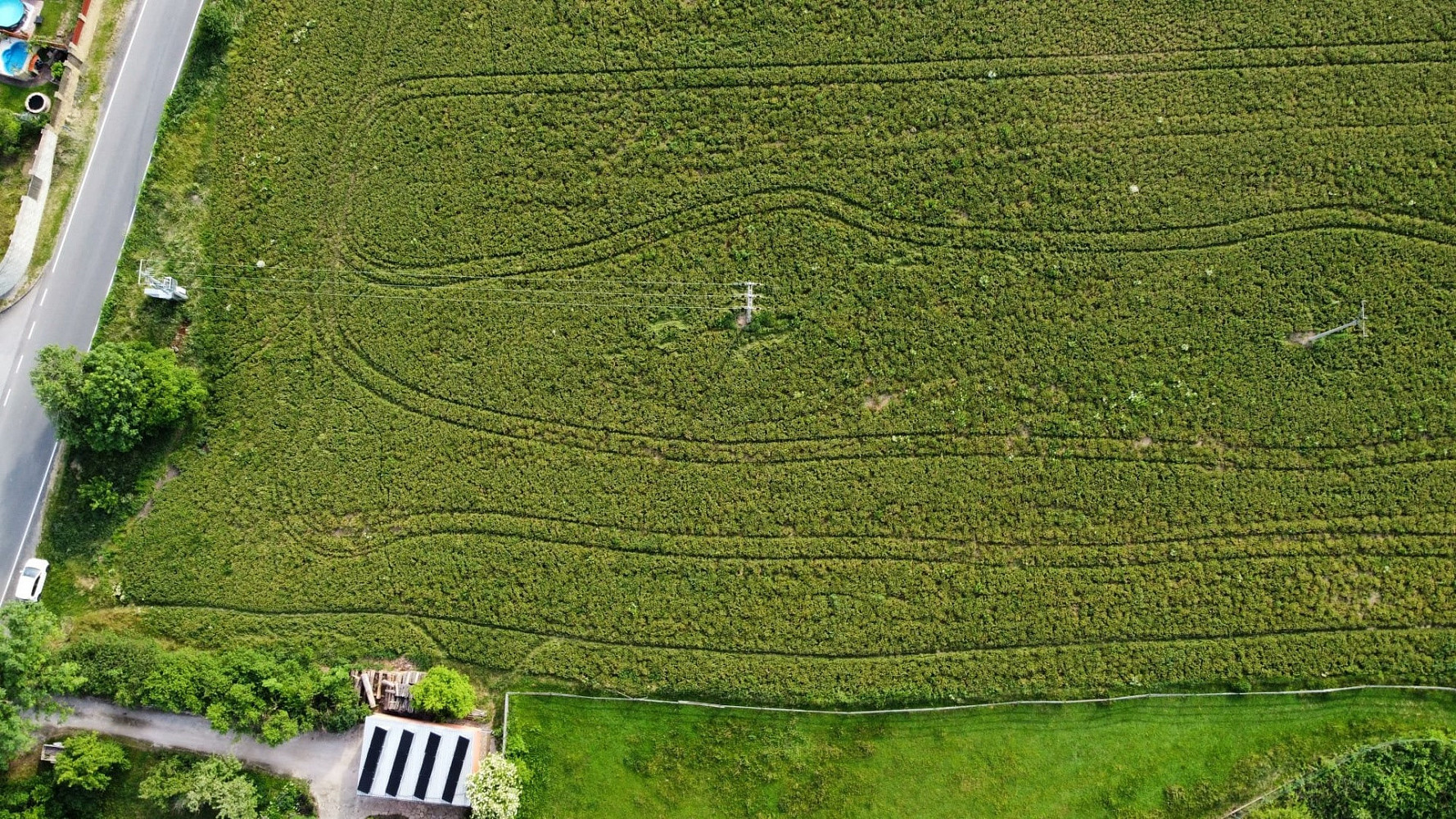 Prodej stavebního pozemku 5 000 m² — photo 3