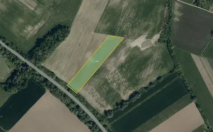 Prodej pole 2 555 m², Veselí nad Moravou, okres Hodonín