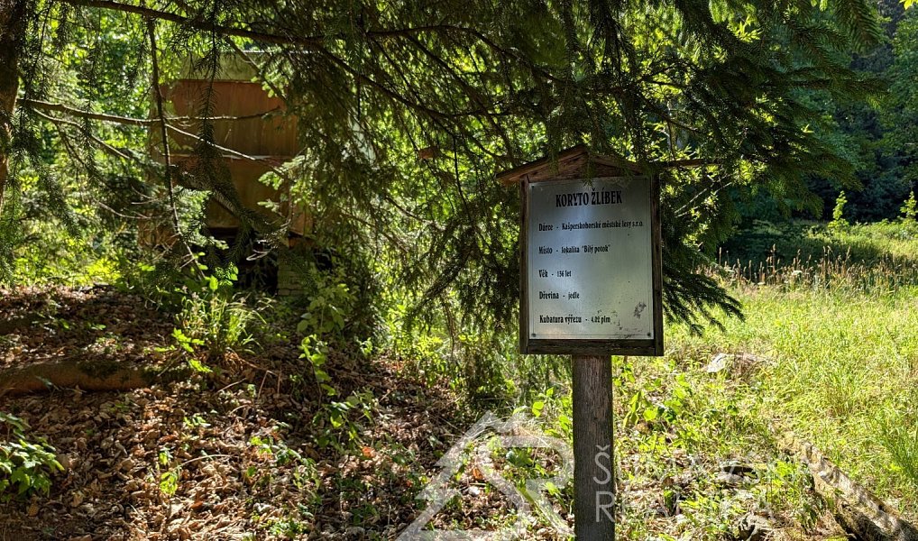 Prodej stavebního pozemku 397 m², Kašperské Hory – náhled fotky 21