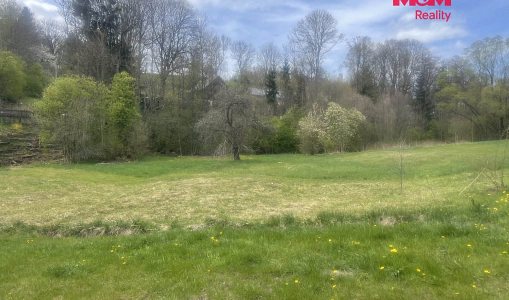Prodej louky 3 984 m², Zlatá Olešnice – náhled fotky 2