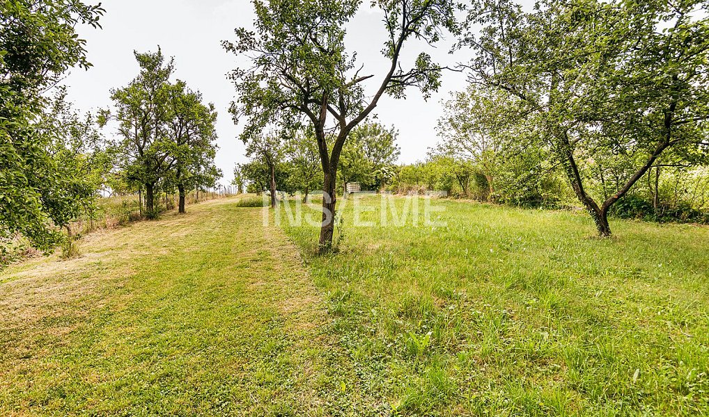 Prodej domu 98 m² s pozemkem 2 835 m², Tvarožná Lhota – náhled fotky 24