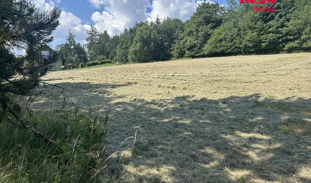 Prodej stavebního pozemku 3 689 m², Zbraslavice – náhled fotky 6