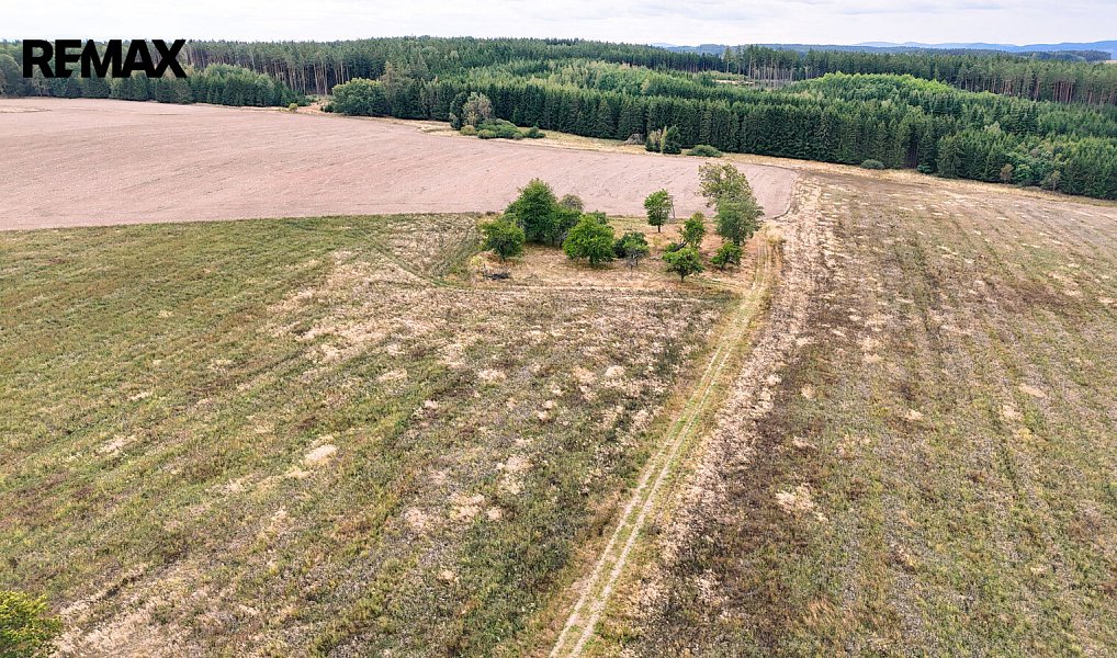 Prodej stavebního pozemku 3 633 m², Ošelín – náhled fotky 4