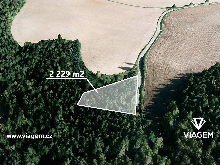 Prodej lesa 1 114 m²