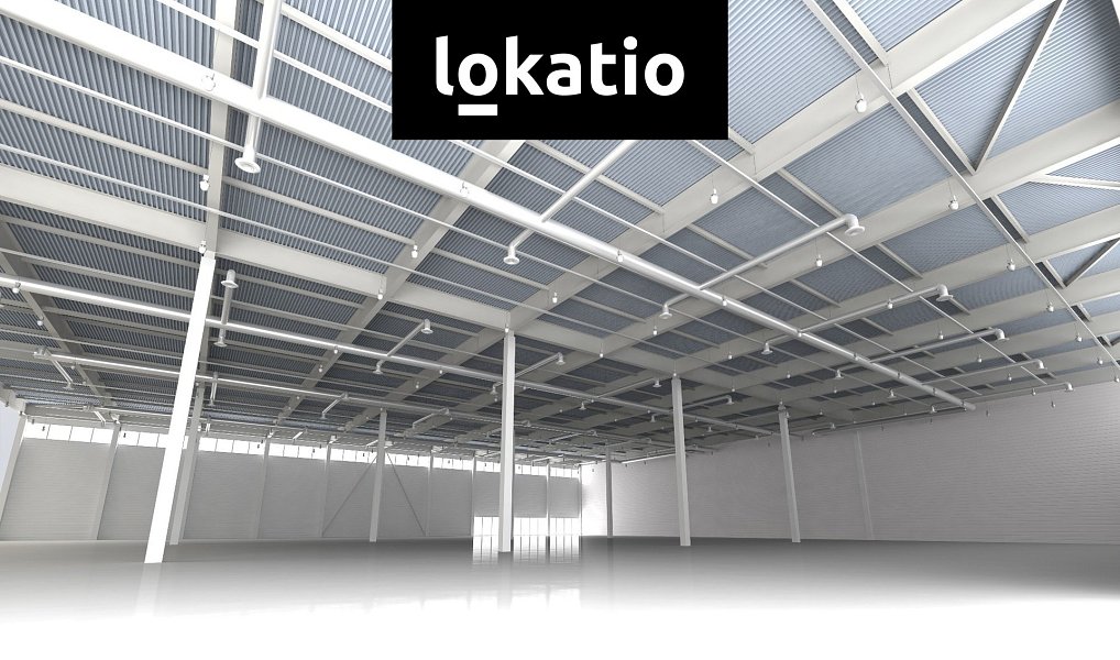 Pronájem výrobních prostor 3 355 m², Hustopeče – náhled fotky 3