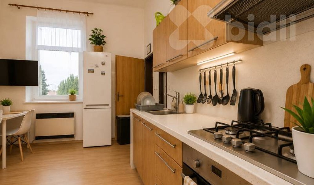 Prodej domu 810 m² s pozemkem 1 349 m², Holešov – náhled fotky 12