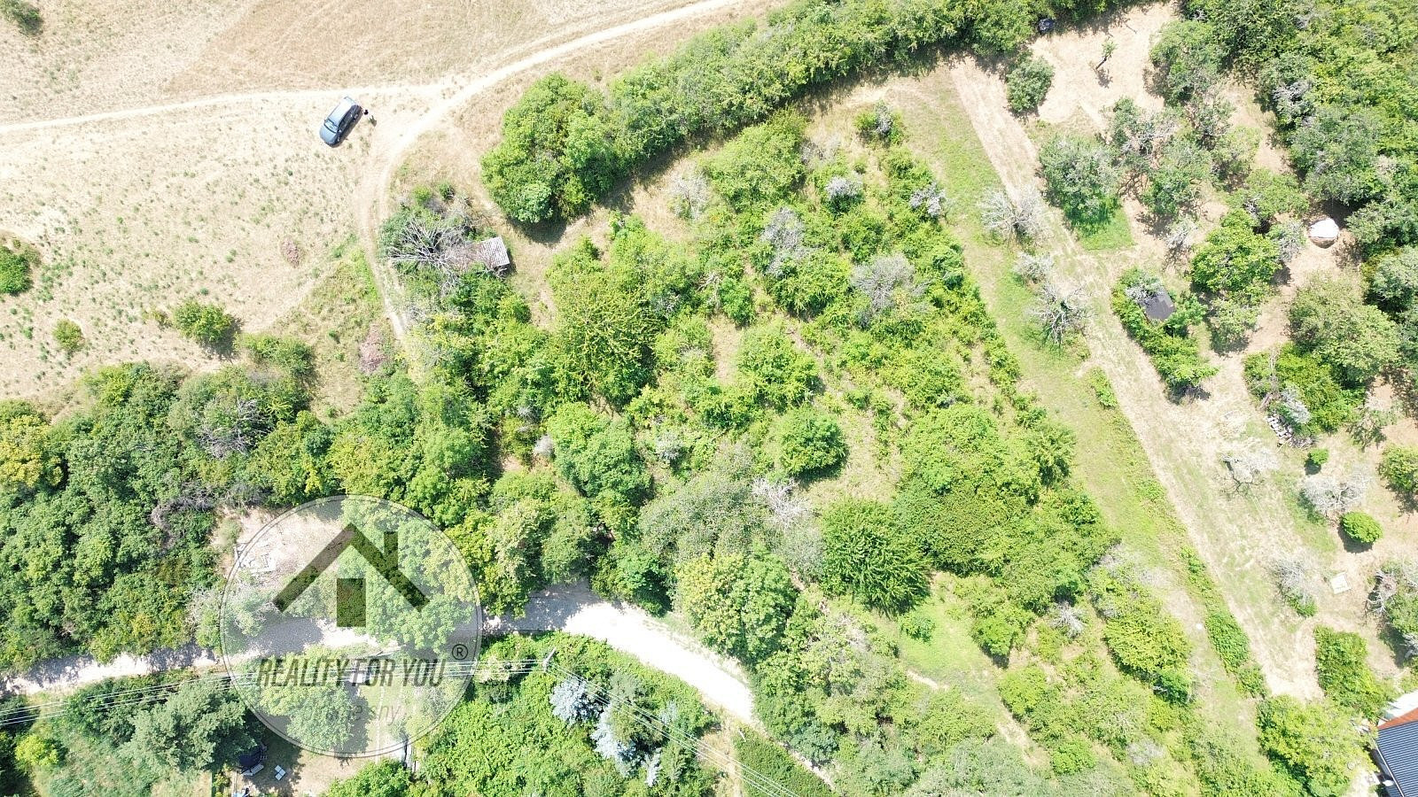 Pronájem zahrady 2 558 m² – fotografie 3