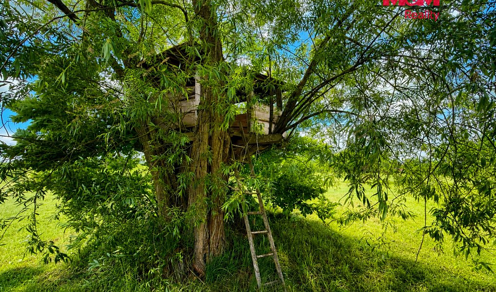 Prodej chaty/chalupy 116 m² s pozemkem 4 525 m², Sněžné – náhled fotky 22