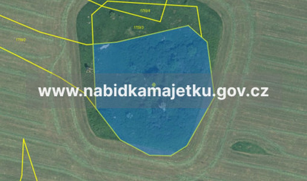 Prodej pozemku 3 866 m², Bor – náhled fotky 2