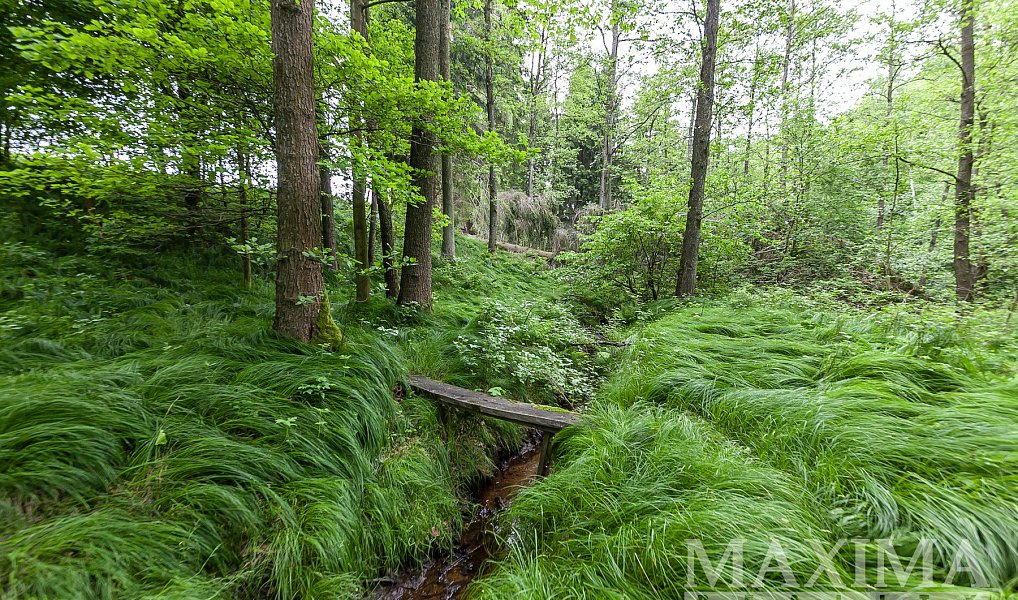 Prodej pole 14 573 m², Višňová – náhled fotky 11